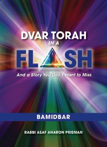 Picture of Dvar Torah in a Flash Bamidbar [Hardcover]